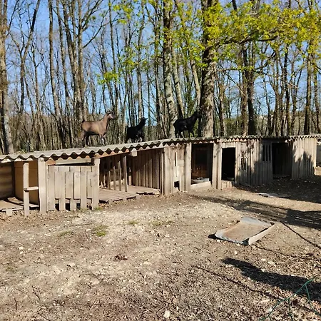 Domaine La Belle Charentaise Apartman *