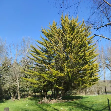 公寓 Domaine La Belle Charentaise *