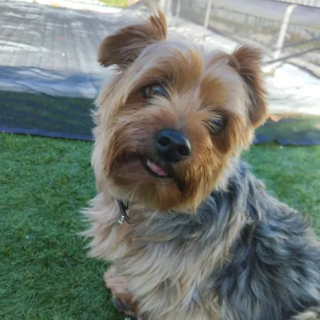 Domaine La Belle Charentaise 公寓 *